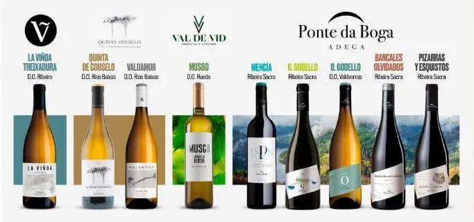 Vinos Gallegos - Ponte da Boga, Quinta de Couselo, Val de Vid